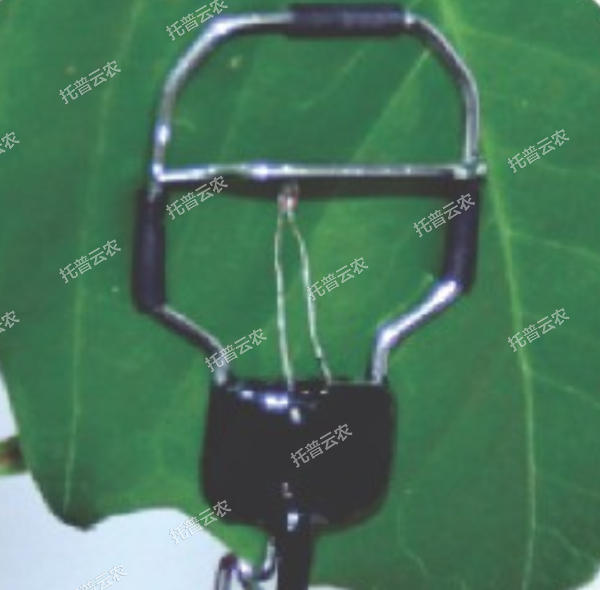 1685951560862816.jpg 1685951560862816.jpg