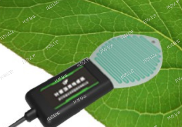 1685951670263055.jpg 1685951670263055.jpg