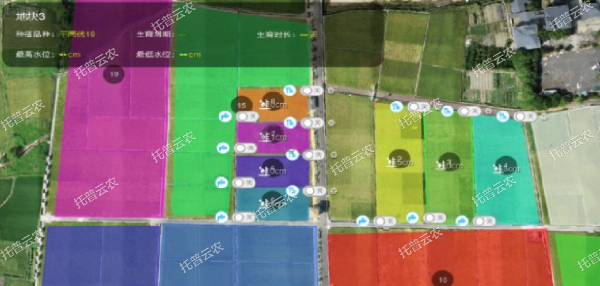 1685952132269805.jpg 1685952132269805.jpg