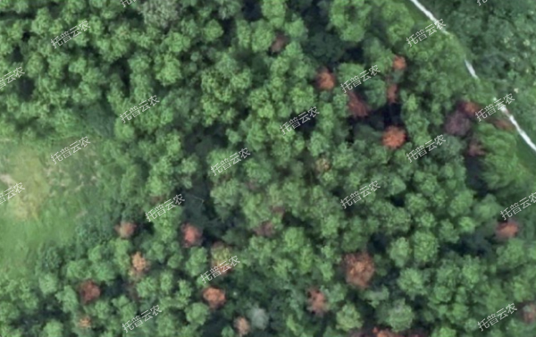 1685949532394620.jpg 1685949532394620.jpg