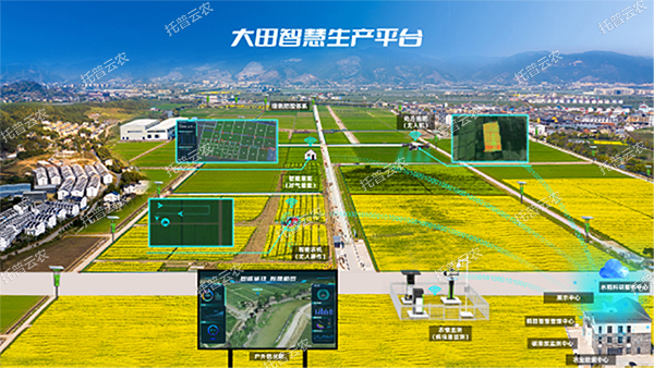 1685944650670415.jpg 1685944650670415.jpg