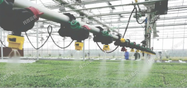 1685944741417644.jpg 1685944741417644.jpg