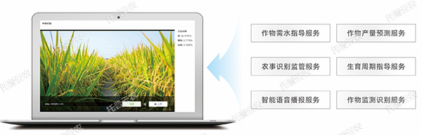 1685944809476588.jpg 1685944809476588.jpg