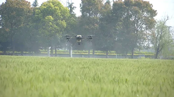 江蘇海門：打造數(shù)字化高標(biāo)準(zhǔn)農(nóng)田，為鄉(xiāng)村振興蓄勢賦能