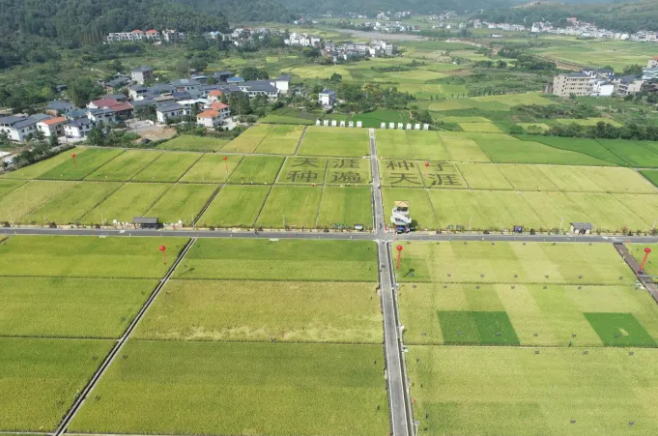 智慧種業(yè)案例 | 湘東：雜交水稻制種之鄉(xiāng)，數(shù)字技術(shù)成為制種新神器！