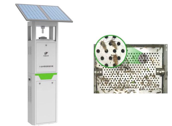 托普云農(nóng)小蟲(chóng)體智能測(cè)報(bào)系統(tǒng)：彌補(bǔ)蟲(chóng)類測(cè)報(bào)短板 推動(dòng)害蟲(chóng)綠色防控