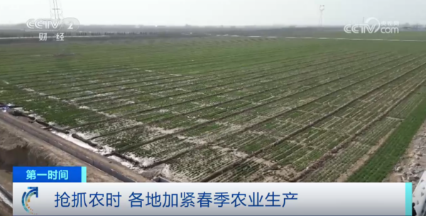 心系糧安、山田無(wú)阻、服務(wù)有恒|托普云農(nóng)2025年智能裝備巡檢服務(wù)全面啟動(dòng)