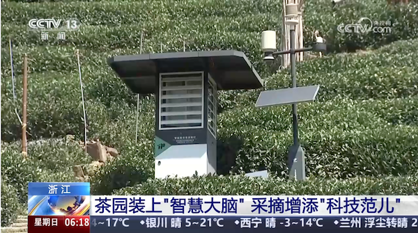 央視、人民網(wǎng)等權(quán)威媒體聚焦西湖龍井：托普云農(nóng)“黑科技”點(diǎn)亮千年茶香智變之路