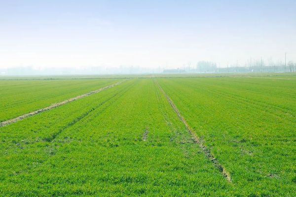 科技賦能春耕，托普云農(nóng)智慧農(nóng)情監(jiān)測(cè)站再獲央視關(guān)注