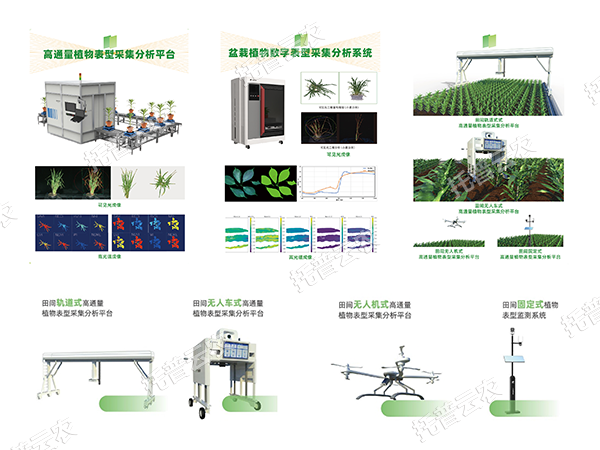 AI+農(nóng)業(yè)新突破！托普高通量植物表型智能分析平臺(tái)助力智慧農(nóng)業(yè)創(chuàng)新發(fā)展